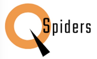 spiders